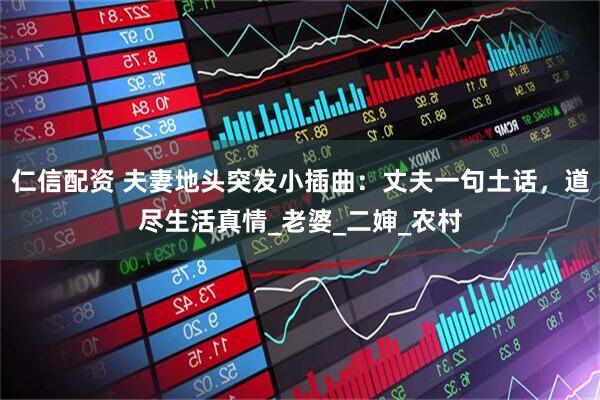 仁信配资 夫妻地头突发小插曲：丈夫一句土话，道尽生活真情_老婆_二婶_农村